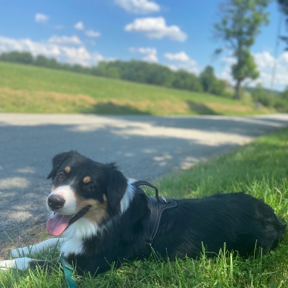 Meet your Posher, Terry - Picture 1 of 1